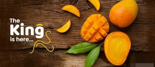 Alphonso_Mango_Plant_Grafted_|_Alphonso_Hapoos_From_Ratnagiri|_Aam_Fruit_Plants_&_Tree_Height_1.5_To_2Ft