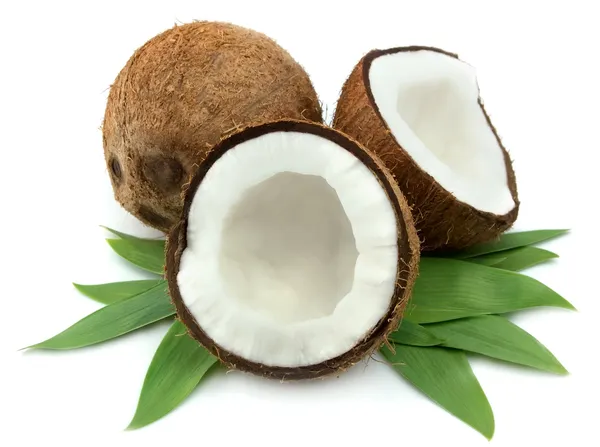 Indian_Hybrid_Coconut_Plant