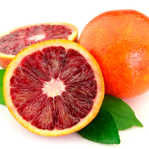 Blood_Orange_Healthy_Fruit_Plant_&_Tree_(1.5-3.5_Ft_Hight)_For_Home_Gardening_Hybrid