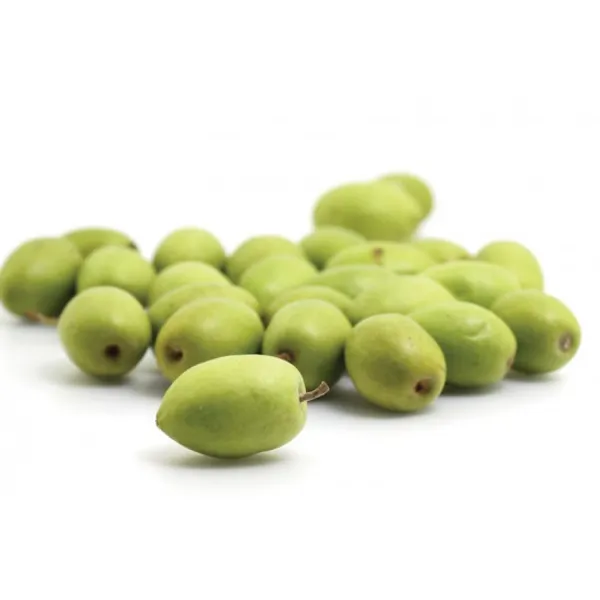 Hybrid_Grafted_Olive_|_Jolpai_Plant