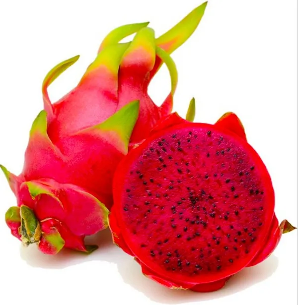 American_Red_Dragon_Hybrid_Fruit_Plant_&_Tree_For_Sweet_Home_Gardening