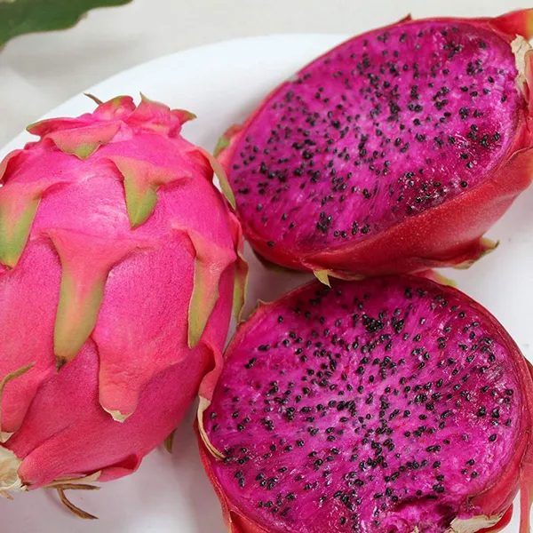 Expensive_Dragon_Healthy_Fruit_Original_Plant_&_Tree_(Dwarf_Variety)_For_Sweet_Home_Gardening_This_Dragon_Fruit_Inside_Flesh_Pink_With_Tiny,_Black_Seeds_Hybrid