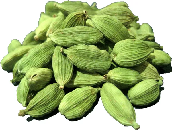 Hybrid_Cardamom_Spices_Plant_&_Tree_(1.5-3.5_Ft_Hight)_For_Home_Gardening_Cardamom_Plant