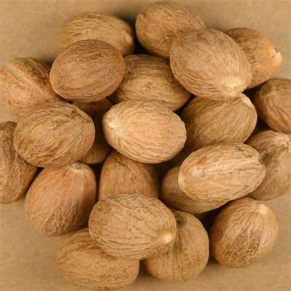 Jayaphal_|Jaiphal__Spice_Plant_Hybrid