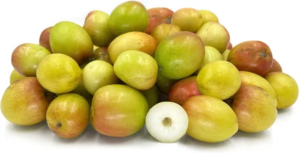 Thai_Hybrid_Jujubee_Gola_Fruit_Plant_Grafted