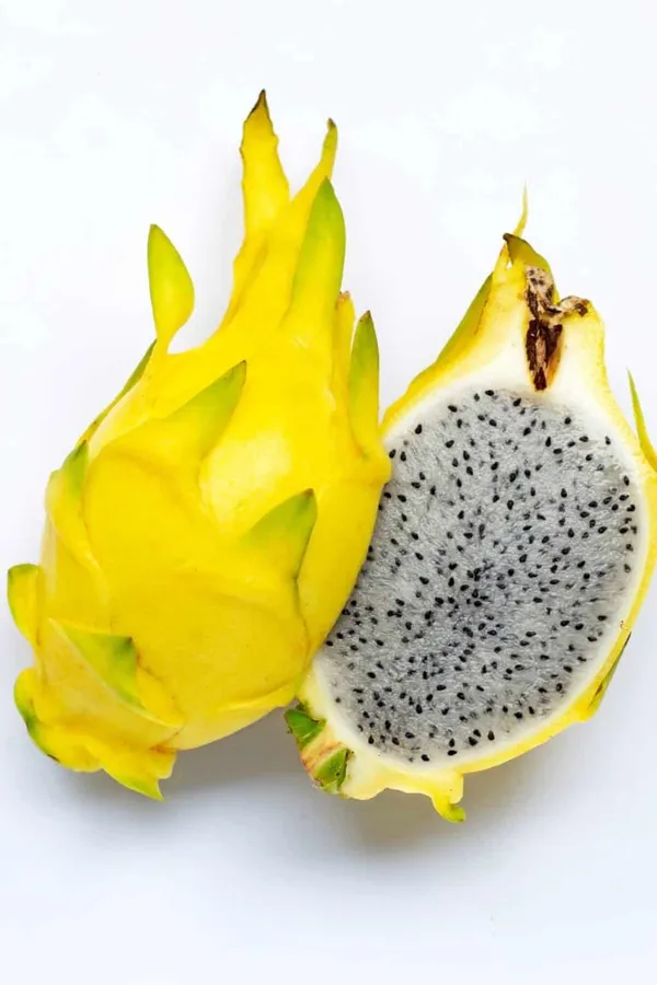 Most_Expensive_Yellow_Dragon_Healthy_Fruit_Plant_&_Tree_For_Home_Garden_(1.5-3.5_Ft_Hight)_Dwarf_Variety_Yellow_Dragon_Inside_Flesh_White_With_Tiny,_Black_Seeds_Hybrid