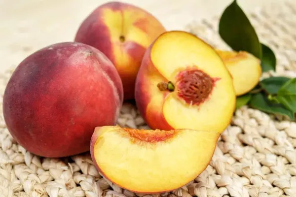Red_Haven_Peach_Grafted_lant_&_Tree