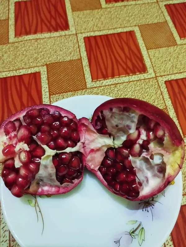 Red_Bhagwa_Delicious_Pomegranate_Fruit_Plant_&_Tree_(1.5-3.5_Ft_Plant_Hight)_For_Sweet_Home_Garden_Hybrid