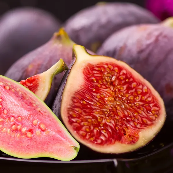 Red_Gular|Fig_Highly_Benefited_Fruit_Plant_&_Tree_(1.5-3.5_Ft_Hight)_For_Home_Gardening_Hybrid_Fig_Plant