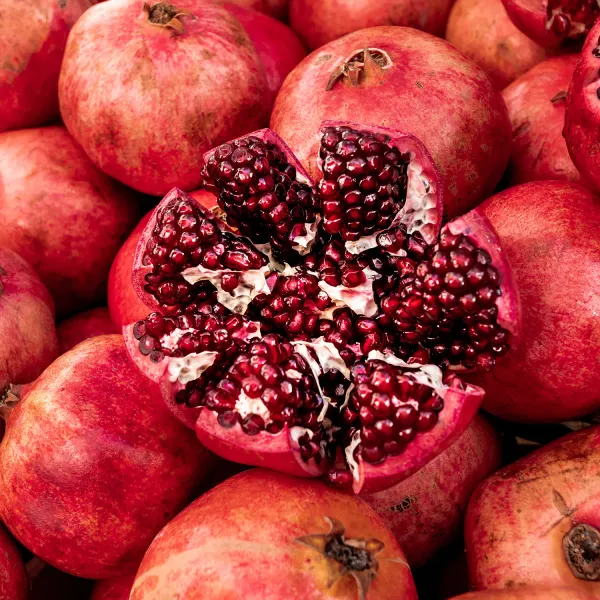 Red_Bhagwa_Anar_Hybrid_Pomegranate_Fruit_Plant_&_Tree_(1.5-3.5_Ft_Hight)_For_Sweet_Home_Garden_Well_Watered_Red_Bhagwa_Pomegranate___Healthy_Fruit_Plant
