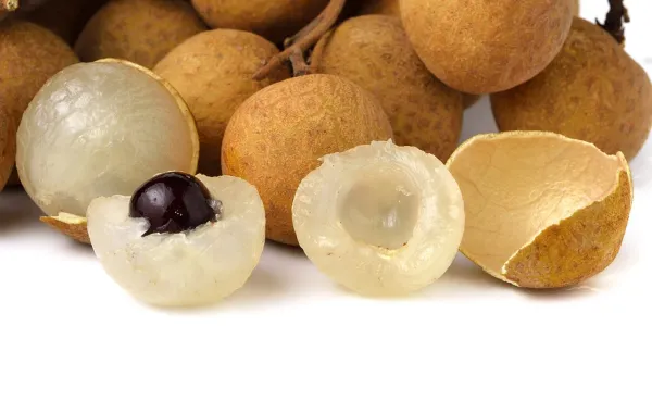 White_Longan_Hybrid_Fruit_Plantgrafted