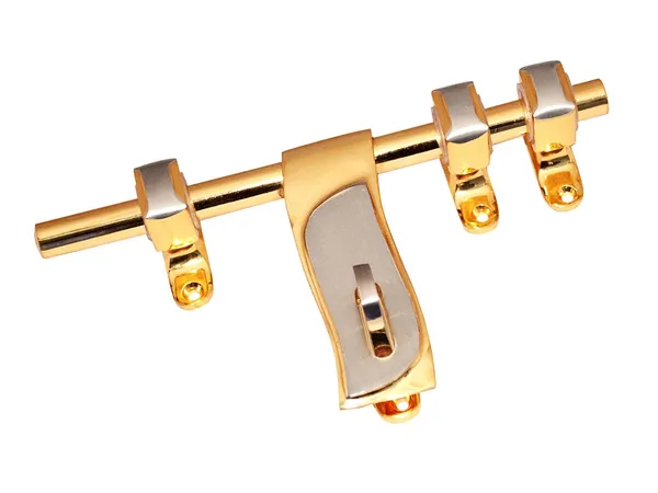 (Pack_of_2)_Aldrop_Mango_Orry_Brass_Gold_Silver