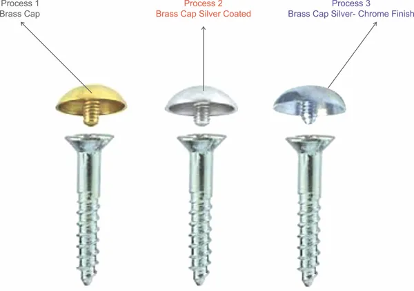 (Pack_of_100)_Screw_Mirror_Cap_Steel_and_Brass_Silver