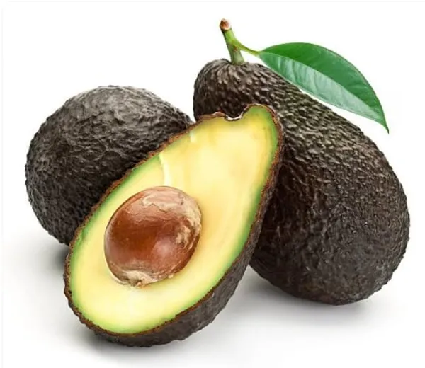 Avocado_Hass__Plant_(Persea_Americana_'Hass')_Home_Gardening_Outdoor__Plants