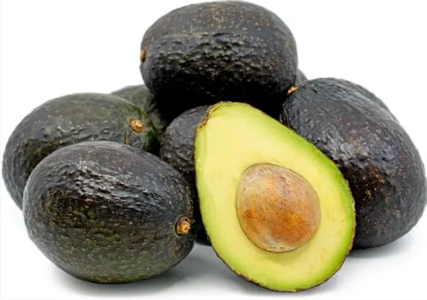 Avocado_Hass__Plant_(Persea_Americana_'Hass')_Home_Gardening_Outdoor__Plants