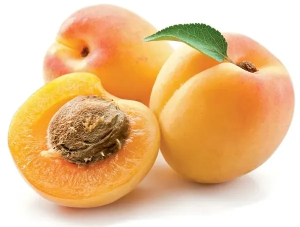 Apricot_Variety_Fruit_(Air_Layering/Grafted)__Plant