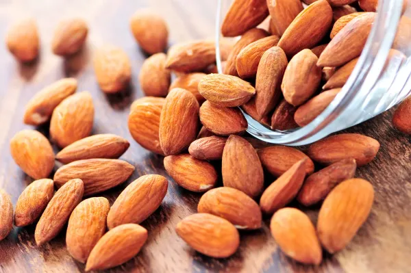Badam_Tree,_Indian_Almond_Tree,_Terminalia_Catappa_-_Plant_Green_Badam_Plant
