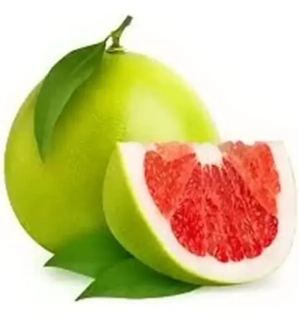 Sweet_Thai_Pomelo_Citrus_Lemon_Kambili_Naranga_?_High_Yield_Batabi_Lemon_Fruit_1__Plant
