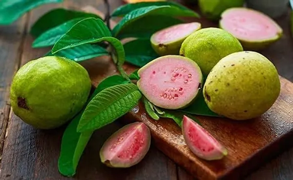 Amrood_Pink_Flesh_Lalit_Lalitha_Guava_Variety_Fruit_(Grafted/Air_Layering)__Plant_&_Tree(1.5-3_Feet_Size)