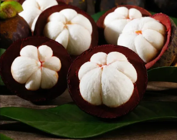 Mangosteen_Fruit__Plant_(Garcinia_Mangostana)