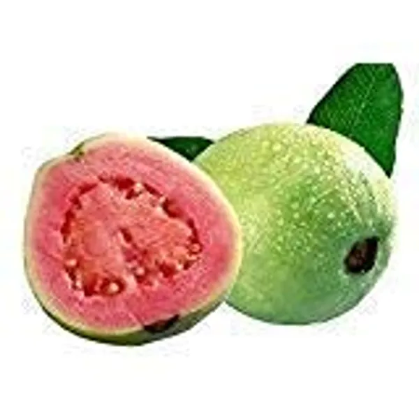 Organic_Guava_Green_Skin_Red_Flesh_Sweet_Crunchy_All_Season_Guava_Plant