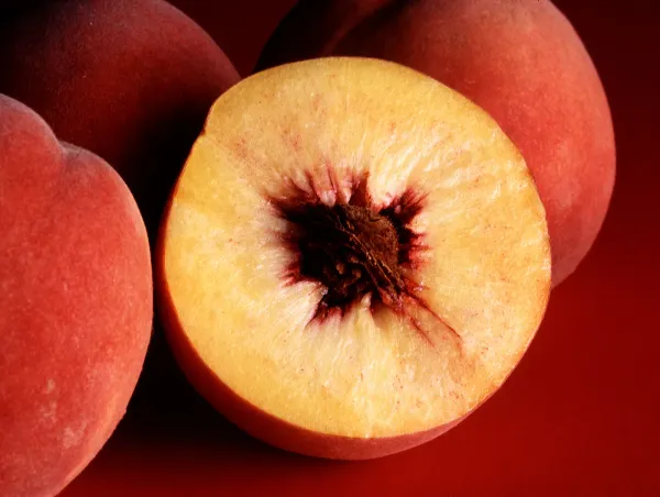 Peach_Plant_-_Aadu_Fruit_Plant