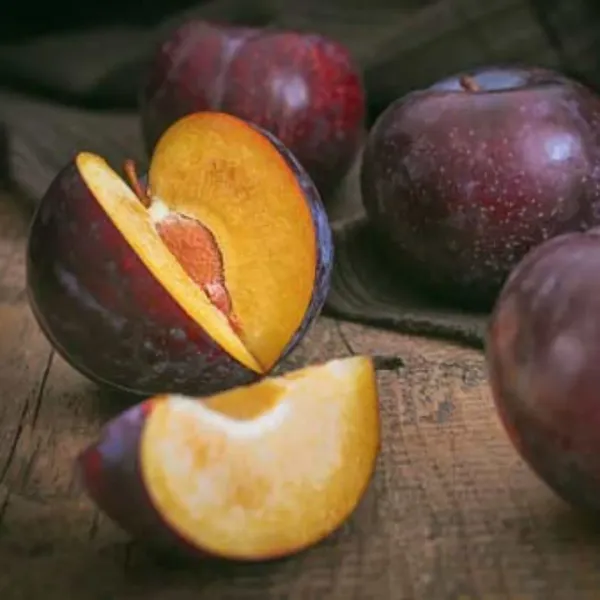Plum_Plant_(Prunus_Domestica)_Aloo_Bukhara