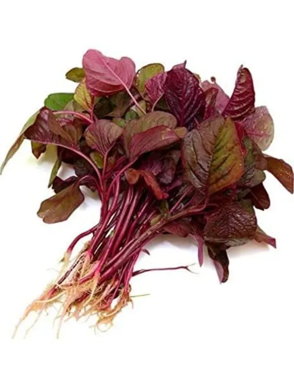 Red_Amaranthus,Laal_Saag,Red_Cheera,_Red_Spinach_Vegetable_Seeds_|_Organic_Leafy_Vegetables_Planting_Seeds_For_Indoors_(4_Grams)_Gardening_Indoor_Outdoor_Vegetables_Seeds
