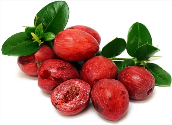 Sweet_Karounda_Fruit_Natal_Plum_Fruit__Plant_For_Home_Gardening_Outdoor__Plants