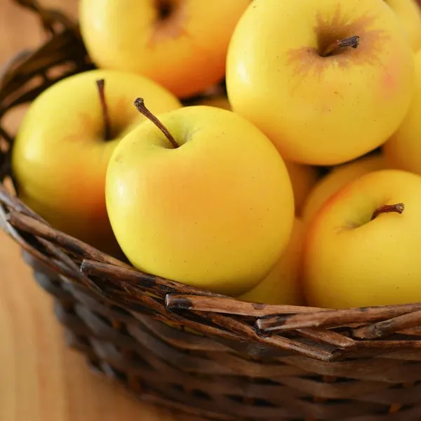Apple_Plant__Plant_Hybrid_Grafted_Plant__Original_Variety_(Gold)