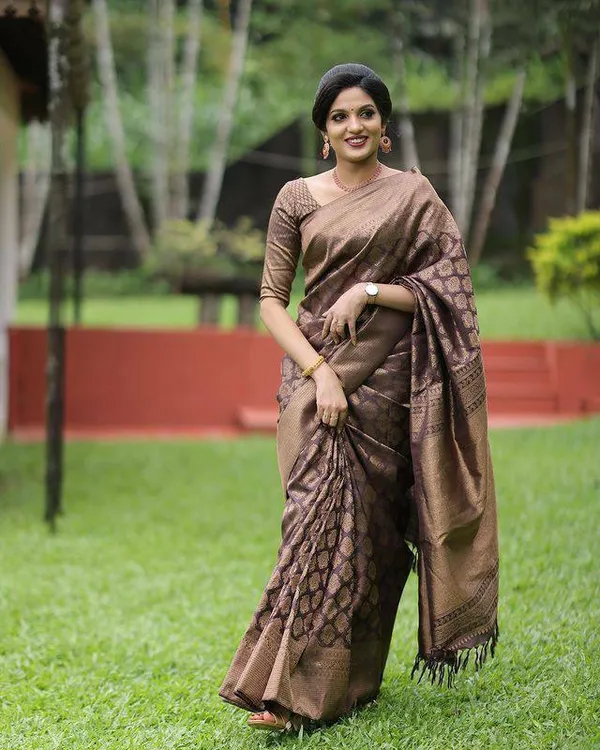 Brown_Embellished_Banarasi_Jacquard_Saree_(Brown)