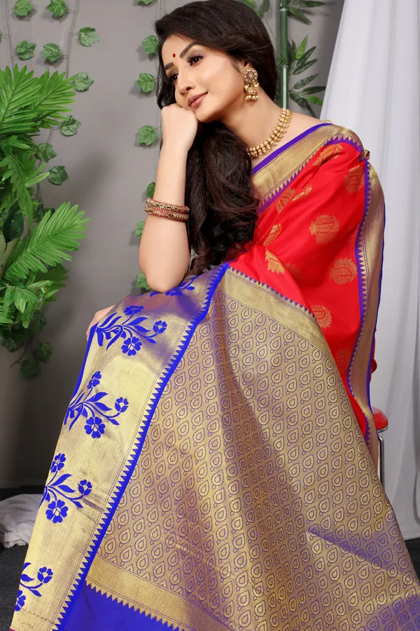 Red_Zari_Work_Patola_Silk_Saree
