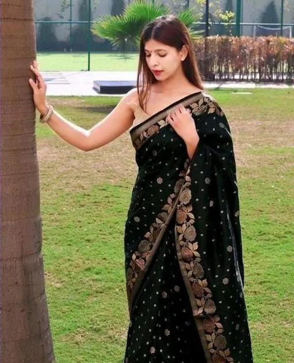 Black_Embellished_Banarasi_Jacquard_Saree_(Black)