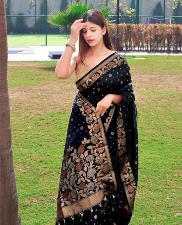 Black_Embellished_Banarasi_Jacquard_Saree_(Black)