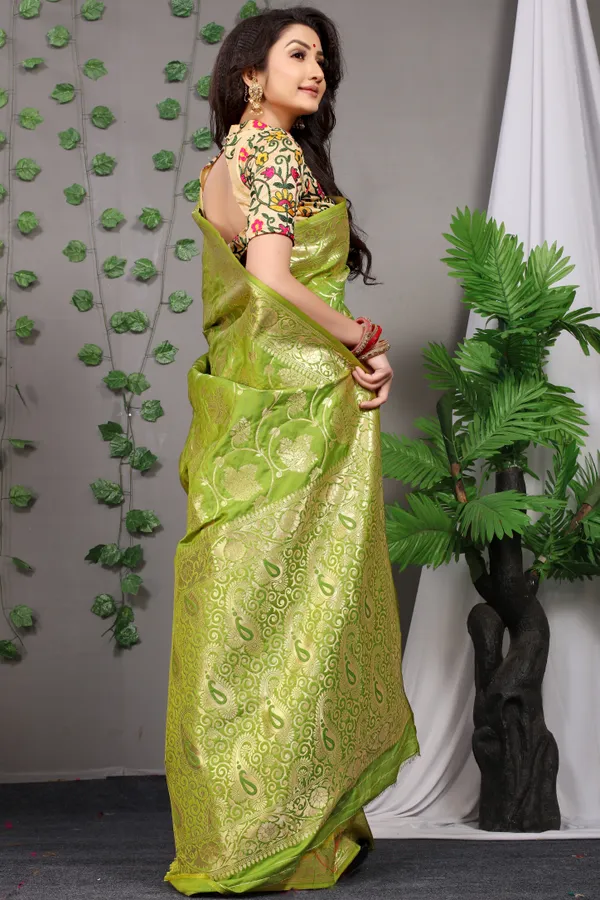 Parrot_Green_Zari_Work_Patola_Silk_Saree