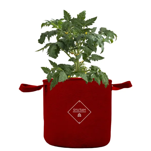 https://cdn-image.blitzshopdeck.in/ShopdeckCatalogue/tr:f-webp,w-600,fo-auto/65c5ebc402d8dc3ec1aa0af5/media/SYUTAM_Geo_Fabric_Grow_Bags__Gardening_Containers__Plant_Root_Health__Eco_Friendly_Gardening__Durable_pots__Drainage__Reusable__Indoor_Gardening_Solutions__Red__Pack_of_1__JZBQ6TQPVE_2024-06-07_1.jpg__SYUTAM