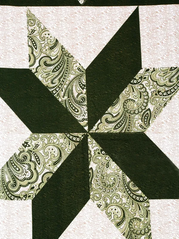 210TC_Microfibre_Ethnic_Floral_Pine_Green_Double_Bedsheet_with_2_King_Size_Pillow_Cover