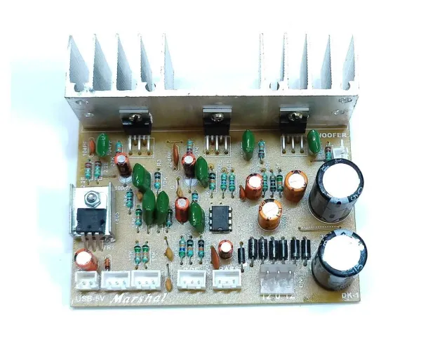 Amplifier Board Intex Woofer Parts Intex Home Theatre Intex Woofer