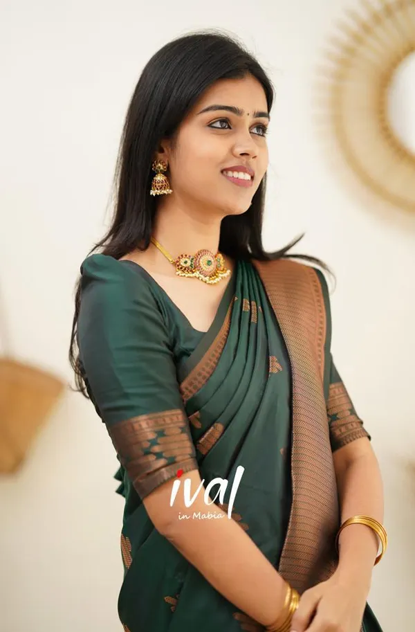 Woven_Kanjivaram_,_Banarasi_Jacquard_Saree
