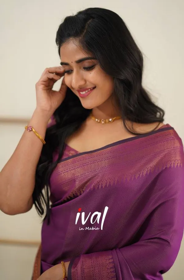 Woven_Kanjivaram_,_Banarasi_Jacquard_Saree