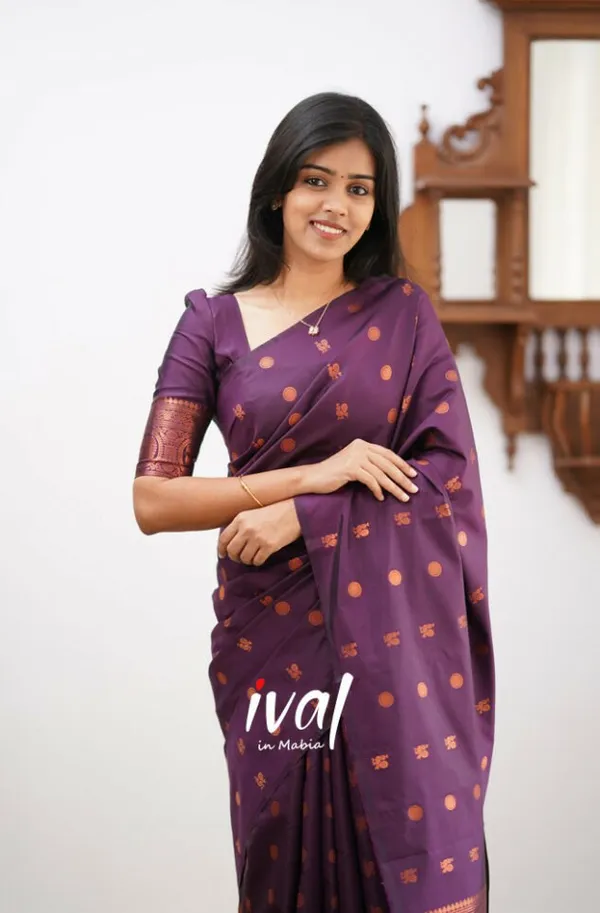 Woven_Kanjivaram_,_Banarasi_Jacquard_Saree