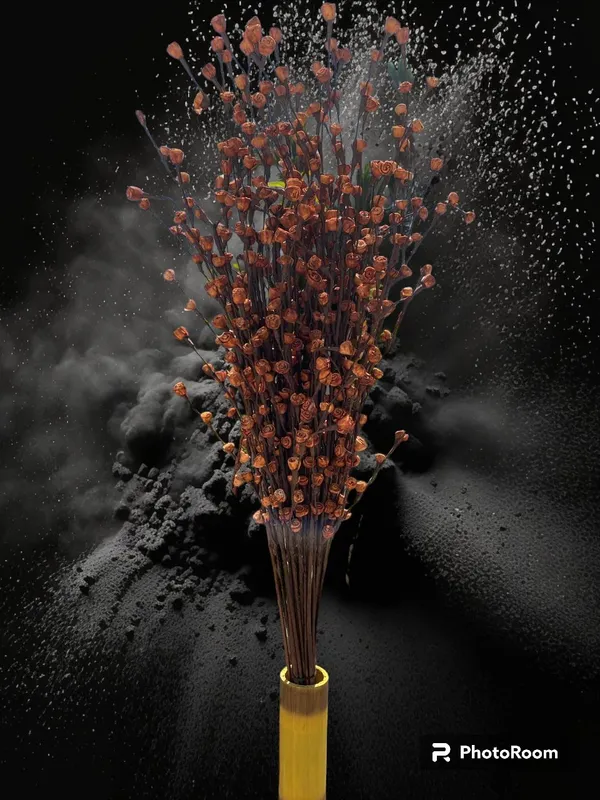 Brown_Natural_Mini_Jasmin_Dry_Flower(Handicrafts,Pack_of_10)
