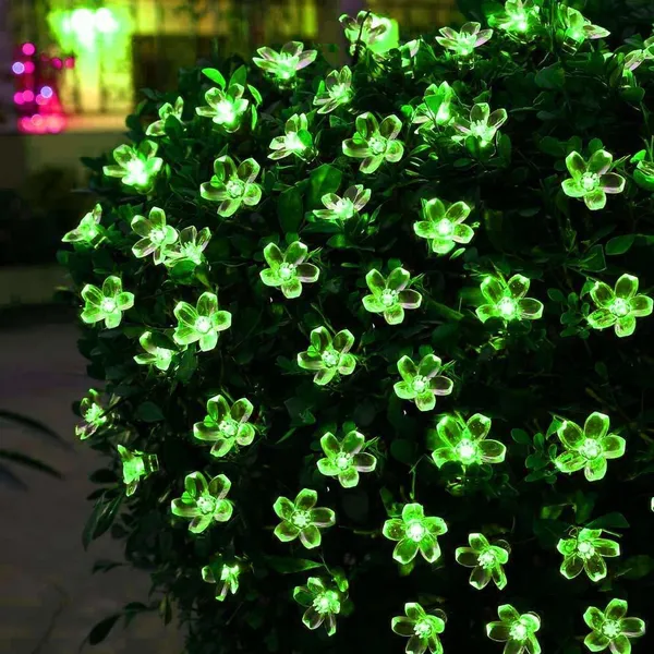 Green_20_LED_5_M_Steady_Flower_Rice_Lights_pack_of_2