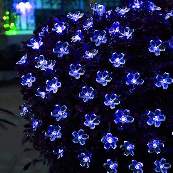 Blue_Candela_20_Leds_5_M__Steady_Flower_Rice_Lights_pack_of_2