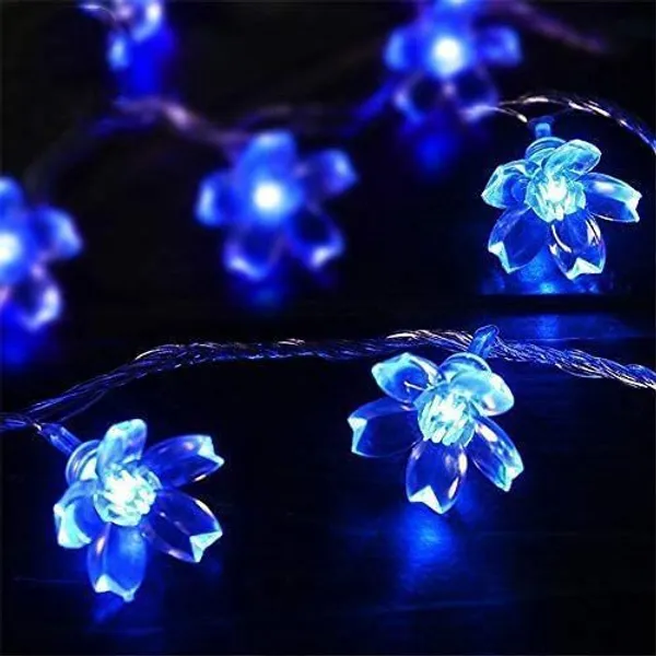 Blue_Candela_20_Leds_5_M__Steady_Flower_Rice_Lights_pack_of_2