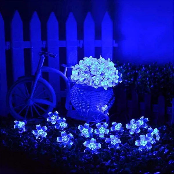 Blue_Candela_20_Leds_5_M__Steady_Flower_Rice_Lights_pack_of_2