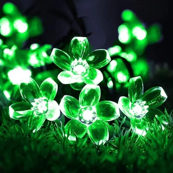 Green_20_LED_5_M_Steady_Flower_Rice_Lights_pack_of_2