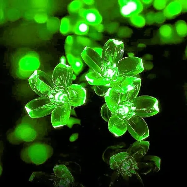 Green_20_LED_5_M_Steady_Flower_Rice_Lights_pack_of_2