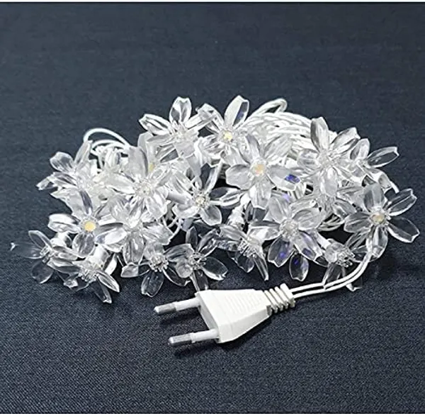 Green_20_LED_5_M_Steady_Flower_Rice_Lights_pack_of_2