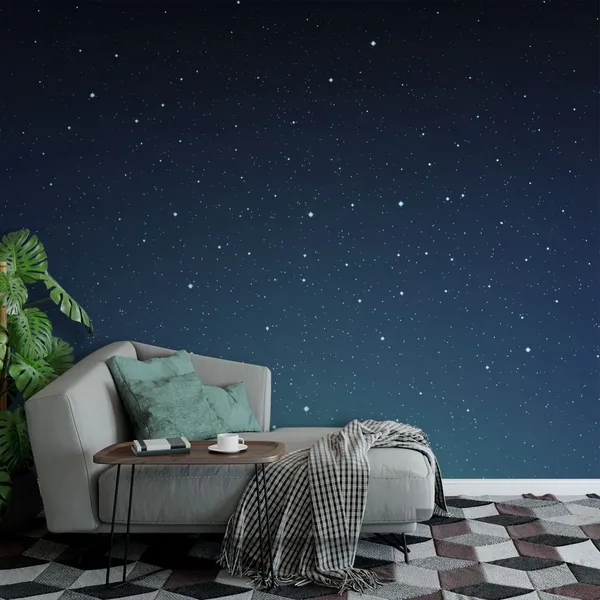 Sky_full_of_stars_at_night_seen_Mural_Wallpaper.